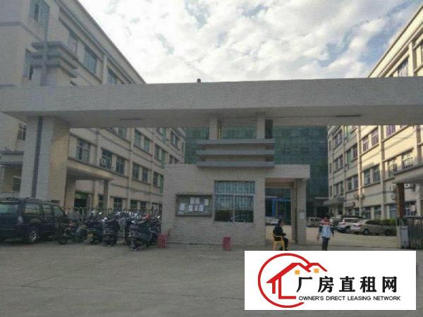 
急租！凤岗雁田新空出一楼2680平带牛角豪华装修