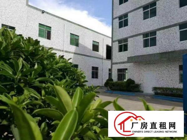 
成熟工业区一楼厂房）凤岗油甘埔1500平米厂房出租