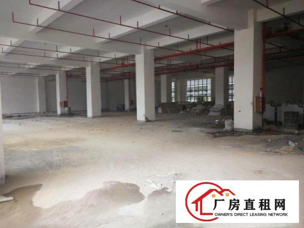 
成熟工业区一楼厂房）凤岗油甘埔1500平米厂房出租