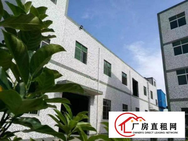 
带装修独院厂房）凤岗油甘埔2500平方米厂房出租