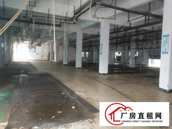 
带水电装修）凤岗雁田3000平方米独院厂房出租