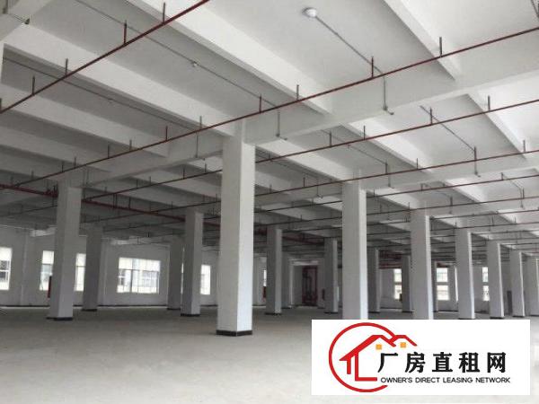 
凤岗新出原房东！5000平方米！全新厂房出租！
