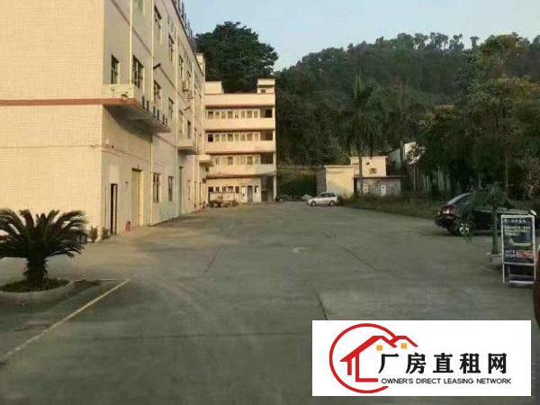 
空地超大花园式独院）凤岗5000平方米独院厂房出租