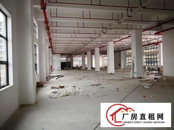 
10万工业园）原房东10000平方米全新厂房出租