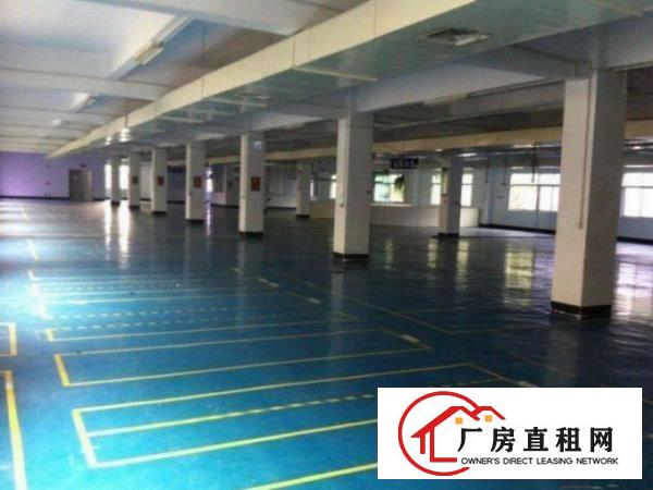 
带装修独院厂房）凤岗3500平米独院厂房出租