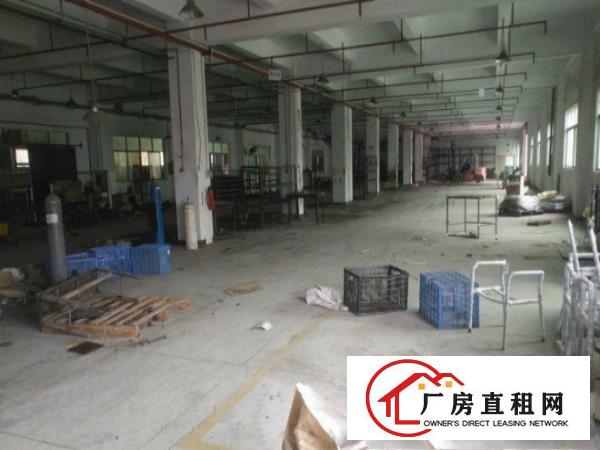 
凤岗镇范围全新）2000平方米一楼带装修厂房出租