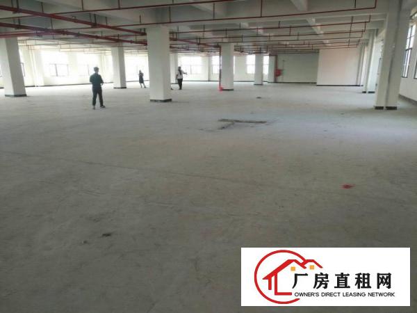
凤岗花园式工业区二，三楼各1500平米出租