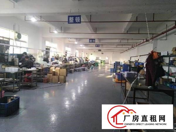
凤岗雁田新出楼上精装修厂房1500平送2间办公室