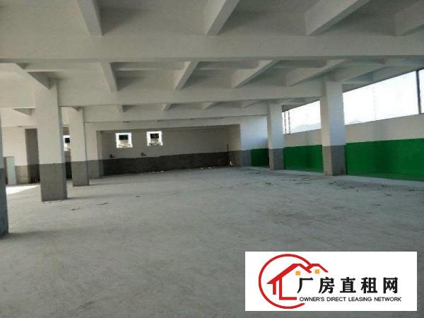 
东莞凤岗，原房东，2栋全新标准厂房分租，有消防喷淋