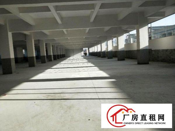 
东莞凤岗，原房东，2栋全新标准厂房分租，有消防喷淋