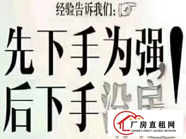 
东莞凤岗，原房东，2栋全新标准厂房分租，有消防喷淋