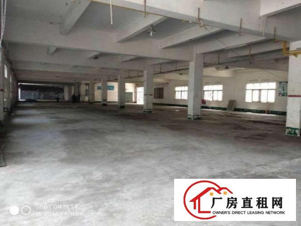 
凤岗原房东，1楼1700平，钢构1400平，可分租