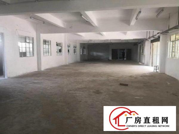 
凤岗精品独院3620全新电梯现成办公室价格可谈