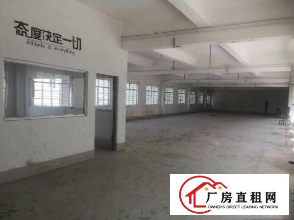 
凤岗精品独院3620全新电梯现成办公室价格可谈
