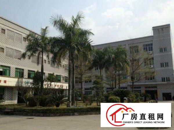 
凤岗新空原房东400平消防齐全现成办公室