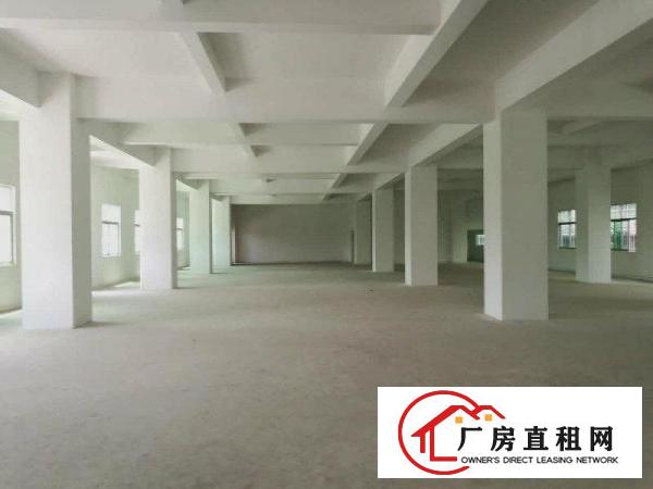 
凤岗新出一楼厂房650平方水电齐全现成办公