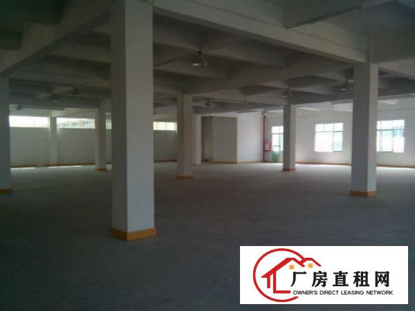 
凤岗新出一楼厂房650平方水电齐全现成办公