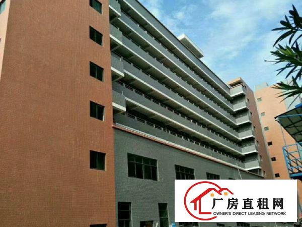 
凤岗高速出口一楼厂房1200平方现成消防喷淋