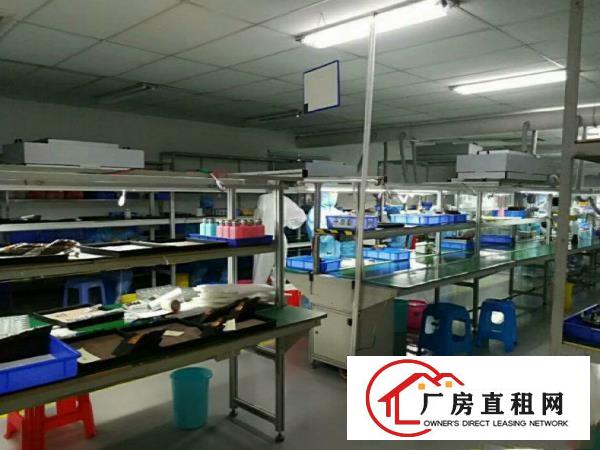 
凤岗水贝工业区一楼厂房1500平方配电315KVA