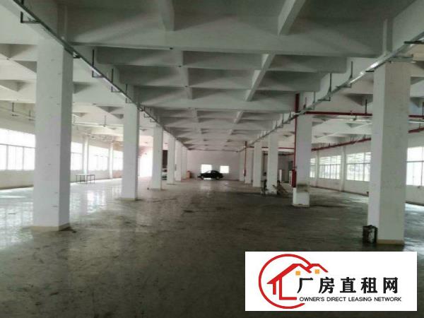 
凤岗水贝工业区一楼厂房1500平方配电315KVA