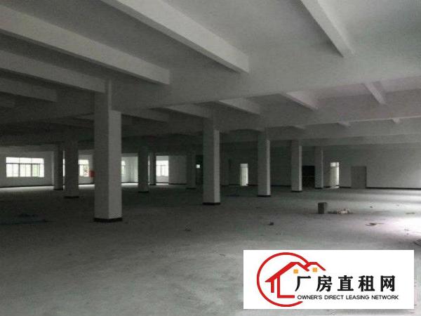 
凤岗全新厂房1000现成办公室适合各行业