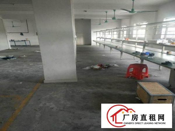 
凤岗新出3楼300平水电按需价格低