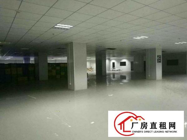 
凤岗新出二楼厂房1350平方现成地坪漆的吊顶