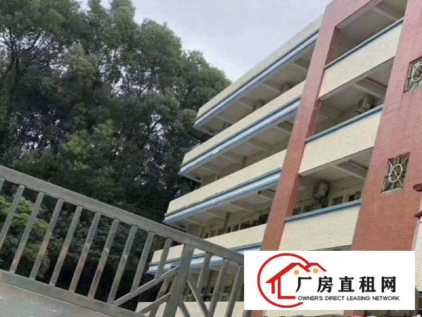 
带装修带水电）凤岗九成新4000平方米独院厂房出租