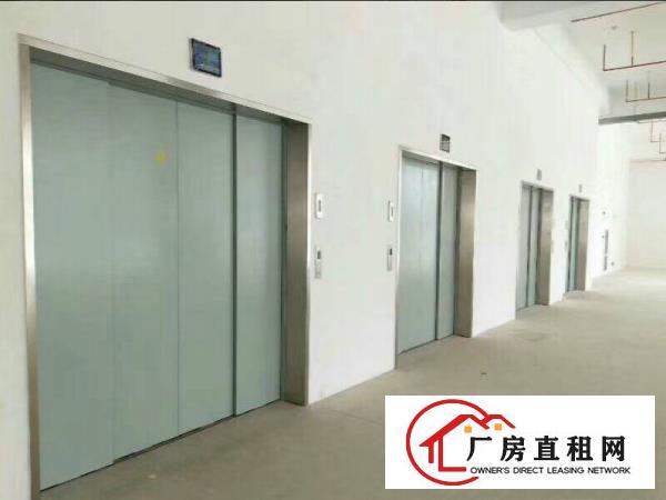 
专业电商物流仓库出租凤岗雁田3000平方米仓库招租