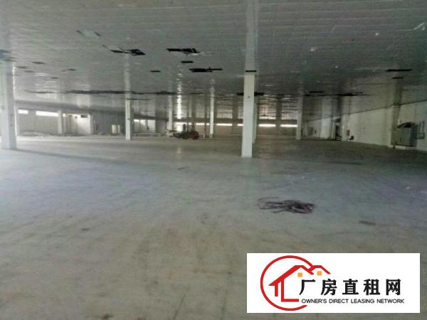
专业电商物流仓库出租凤岗雁田3000平方米仓库招租