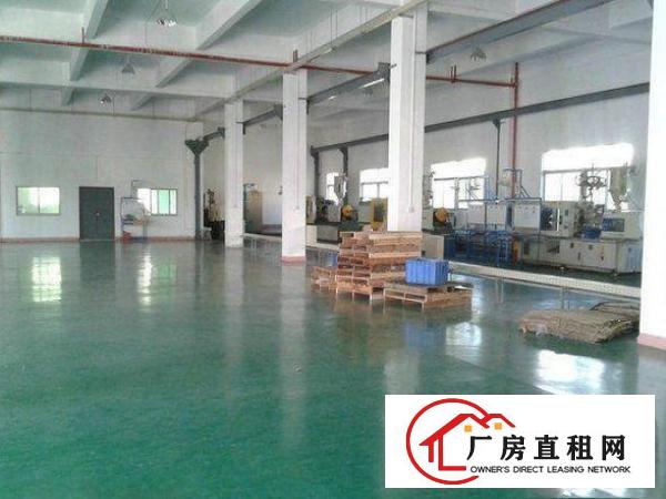 
金桥工业区独院厂房1~3层4500平米,可分层出租