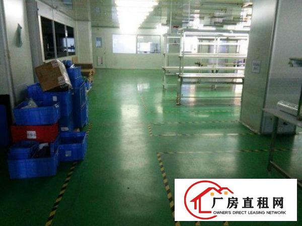 
金桥工业区独院厂房1~3层4500平米,可分层出租