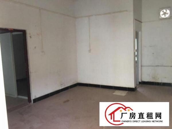 
清溪小面积1楼435平可分租适合小加工手工行业，业主直招