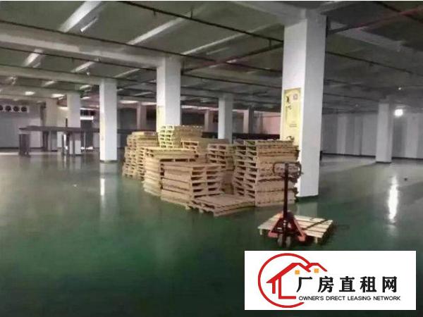 
清溪渔梁围厂房1000平6米高一楼原房东招租