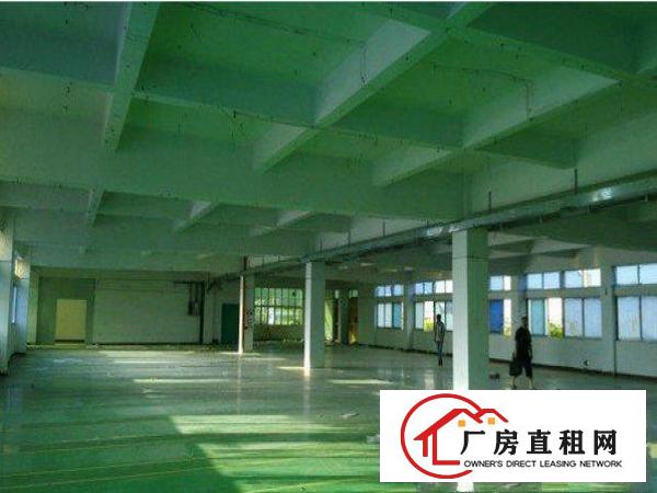 
清溪大利三层空地大真实精致小独院1600平方招租