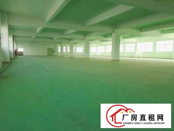 
.清溪三中空出独栋厂房4800平每层有消防喷淋可分租