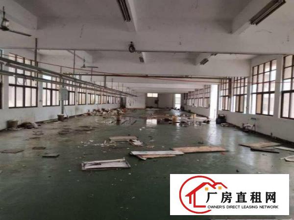
.清溪三中空出独栋厂房4800平每层有消防喷淋可分租