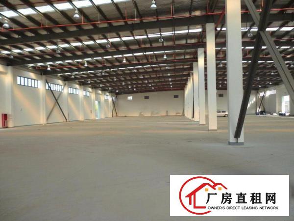 
清溪高速路口钢构独院厂房3500平方超大空地原房东