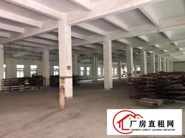 
清溪镇中心街靓盘上市整栋分层出租或分栋出租，原房东