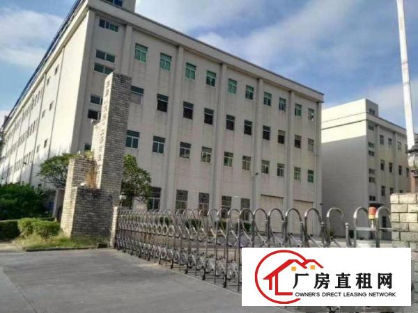 
清溪镇中心街靓盘上市整栋分层出租或分栋出租，原房东