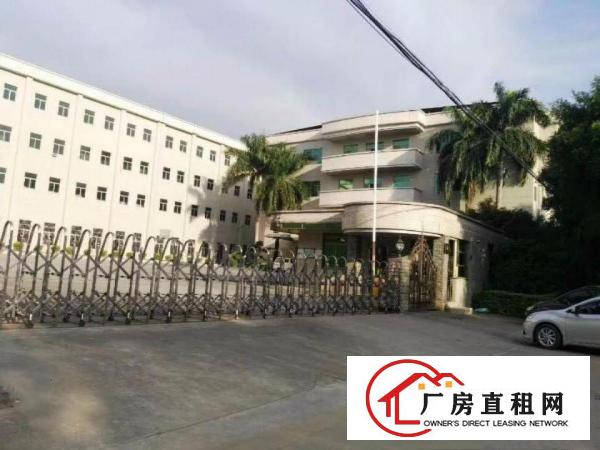 
清溪镇中心街靓盘上市整栋分层出租或分栋出租，原房东