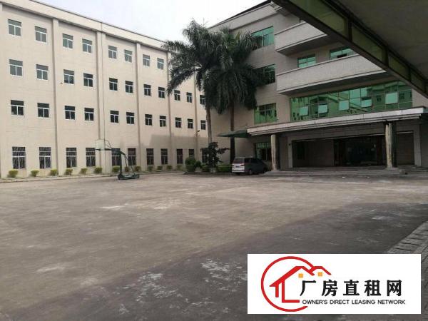
清溪镇中心街靓盘上市整栋分层出租或分栋出租，原房东