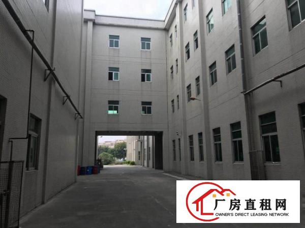 
清溪镇中心街靓盘上市整栋分层出租或分栋出租，原房东