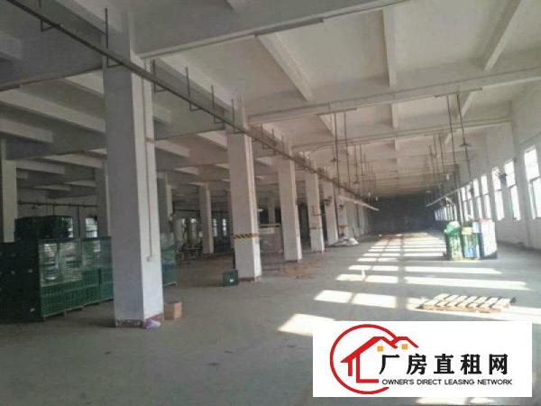 
清溪靓丽厂房出租临近高速出口