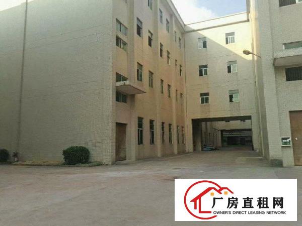 
清溪靓丽厂房出租临近高速出口