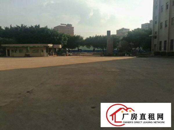 
清溪靓丽厂房出租临近高速出口