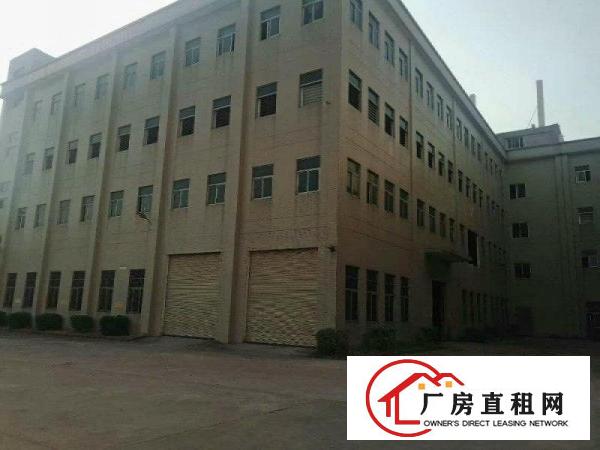 
清溪靓丽厂房出租临近高速出口