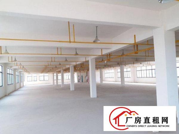 
清溪三中高端大气楼上标准厂房980平形象好