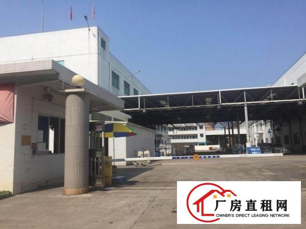 
清溪三中工业区800平标准厂房楼上精装修分租