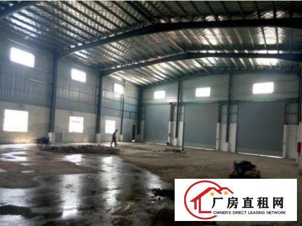 
清溪清厦全新单一层2100平方独院厂房招租空地大